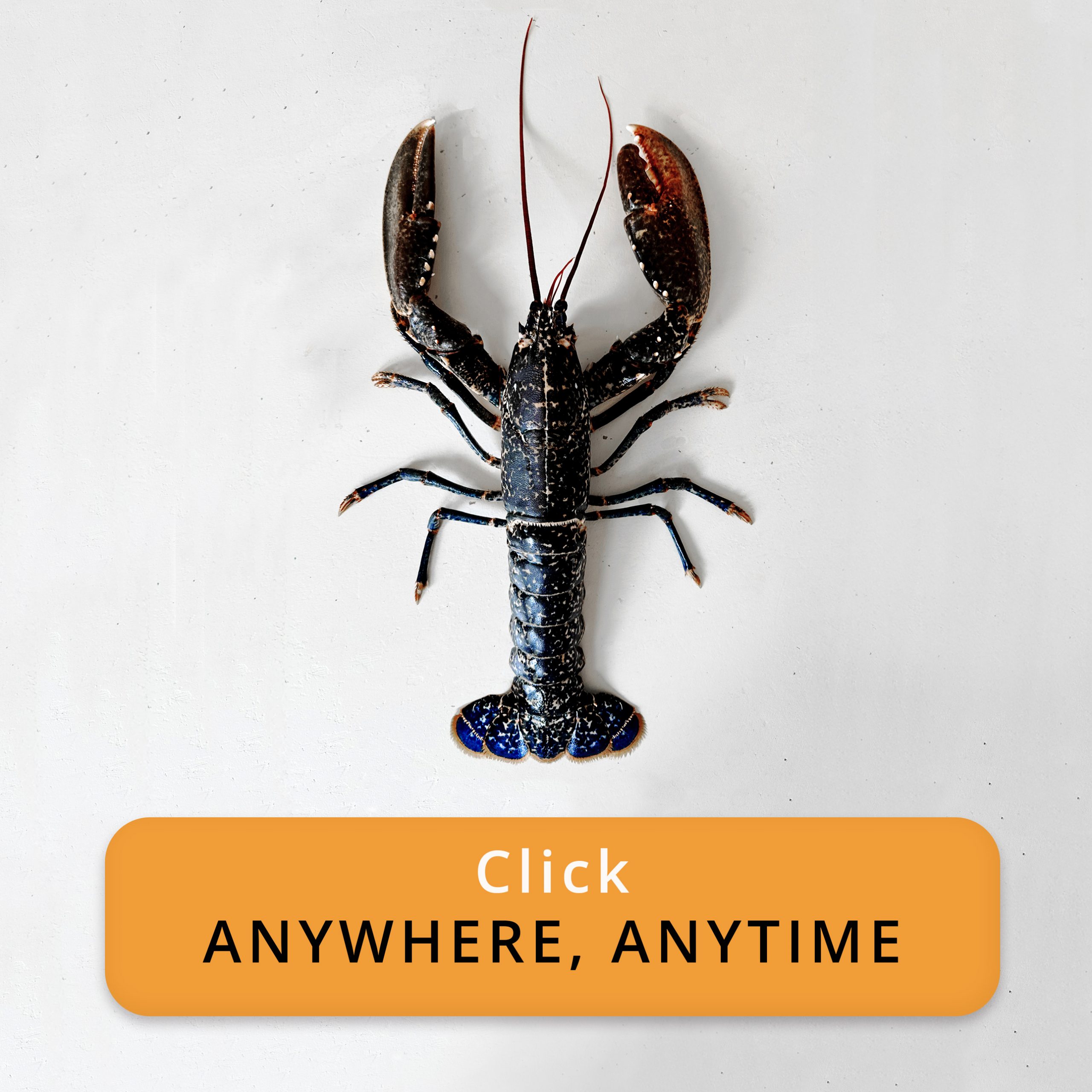 ORDER lobsters anywhere in UK