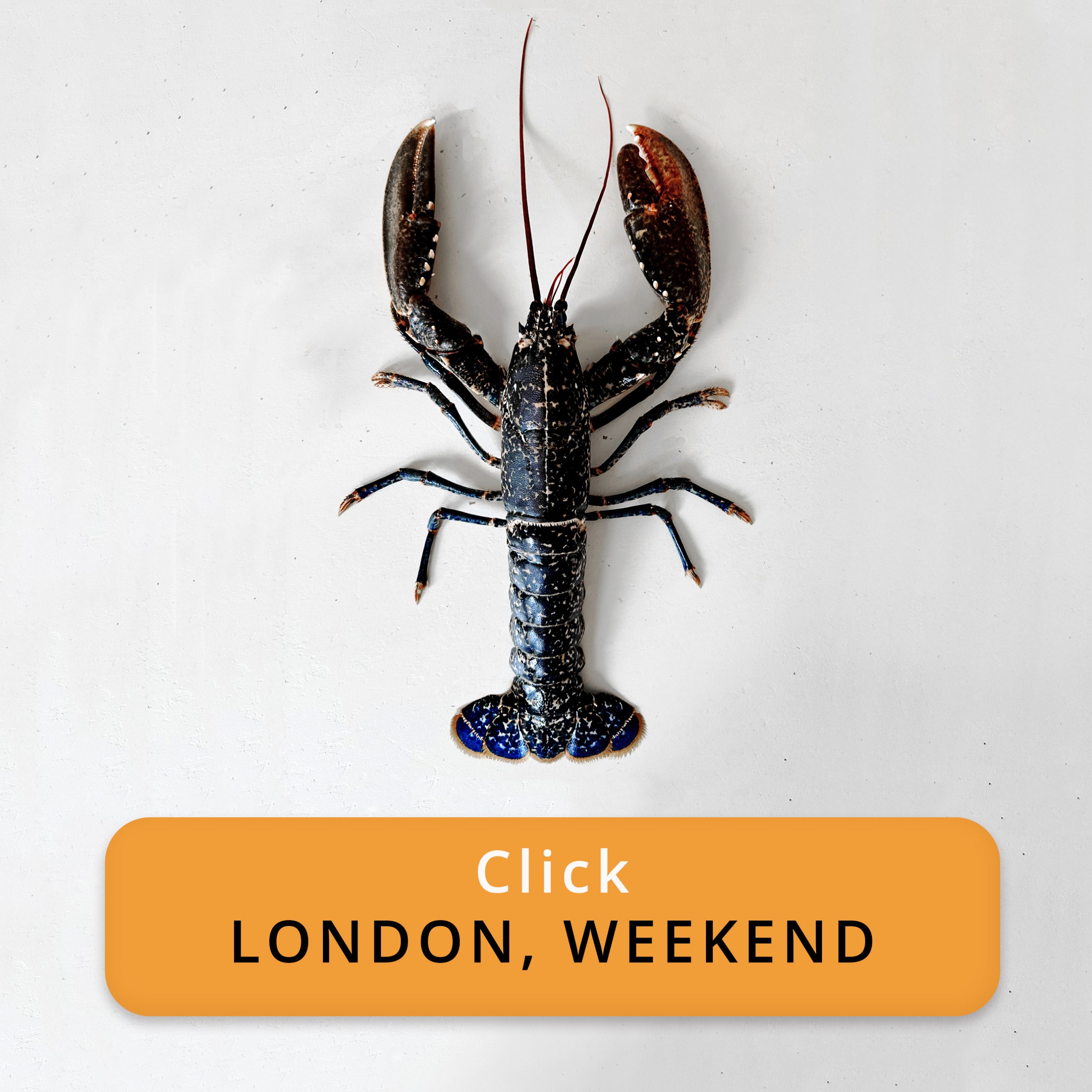 Order Native Lobsters Online London