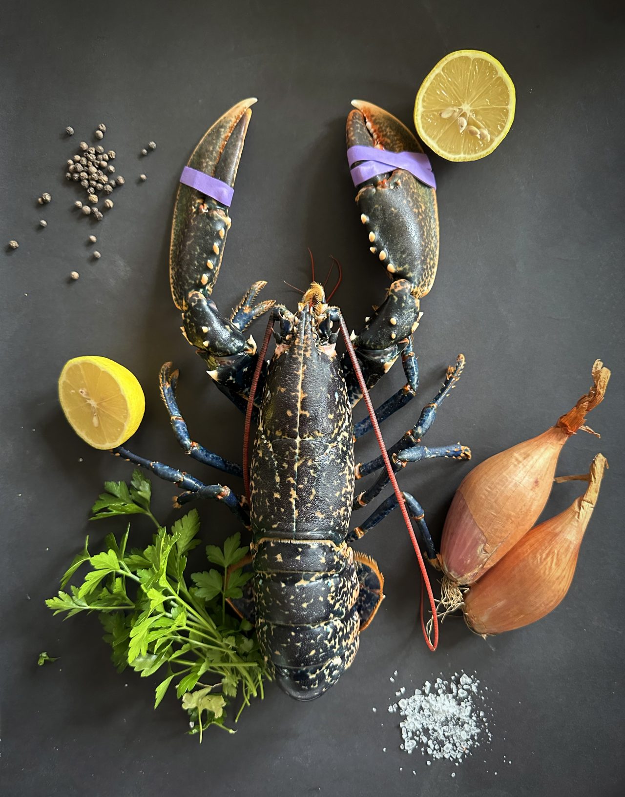 Lockdown Lobsters Delivered live to London Fresh Seafood