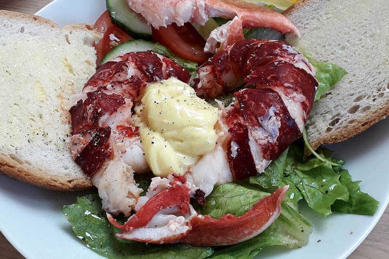 lobster recipes photo gallery