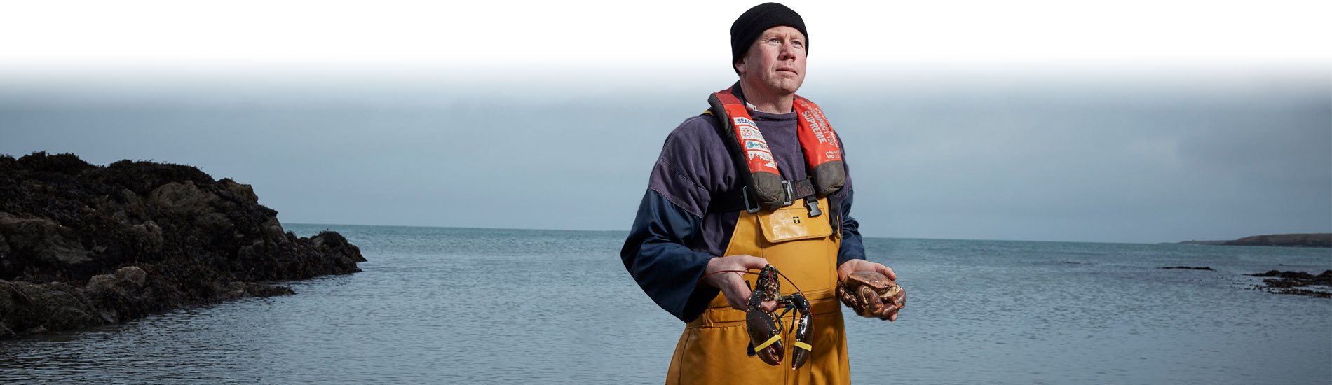 lockdown lobsters story