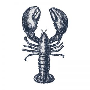 order fresh live lobsters london delivery
