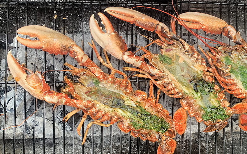How to Grill a Lobster